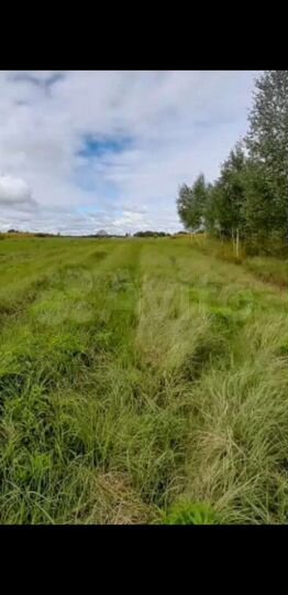 Участок 12,5 сот. (ИЖС)