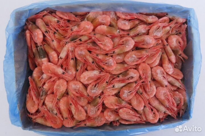 Креветка северная 90/120