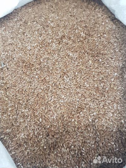 Рис / Нут / Фасоль / Маш / Семены оптом из Фудсити