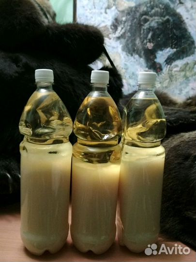 Барсучий жир