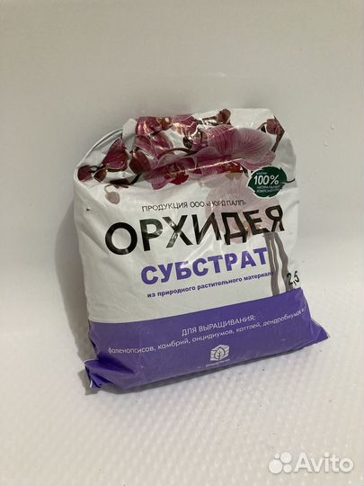 Орхидея в горшке