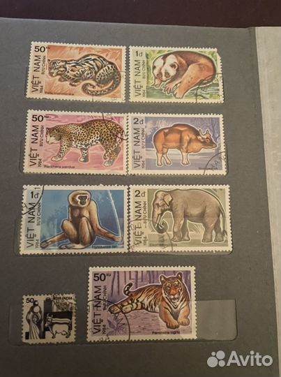 Марки СССР флора и фауна