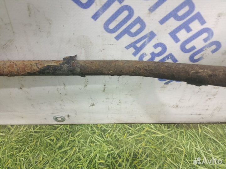 Стабилизатор задний Nissan Murano кроссовер 3.5