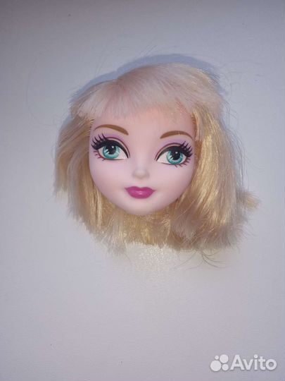 Аксессуары для кукол Монстер Хай, Эвер афтер хай