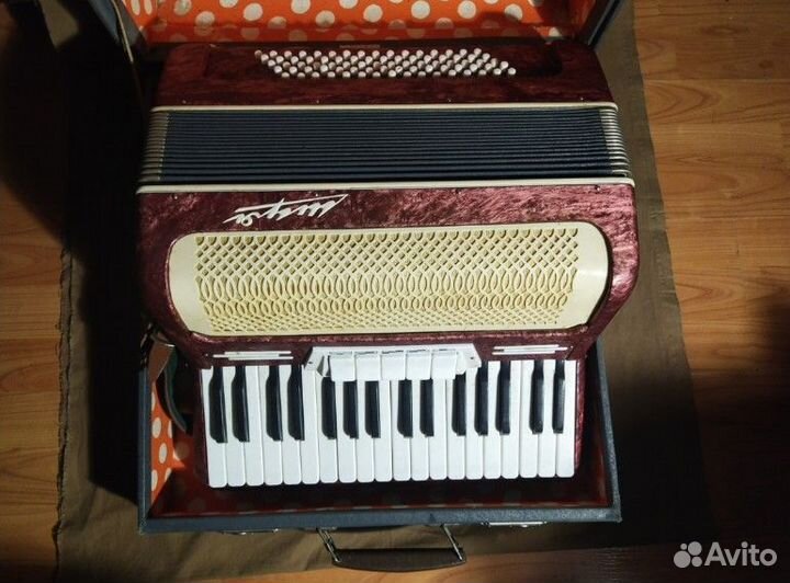 Аккордеон шуя