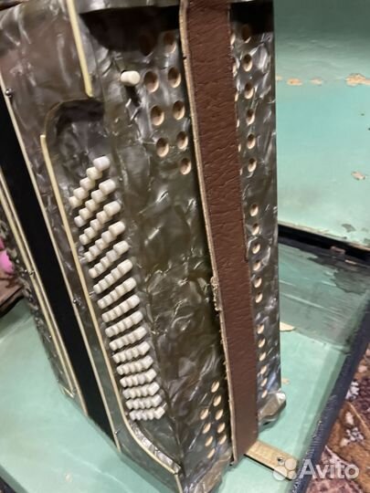 Аккордеон horch