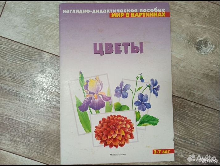 Мир в картинках