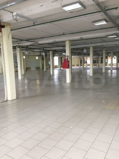 Торговая площадь, 2500 м²