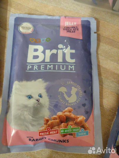 Влажный корм для котят Brit premium