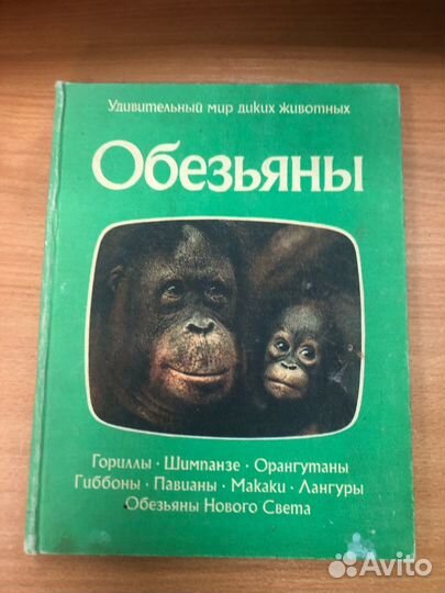 Нейпье. Обезьяны. Удивительный мир диких животных