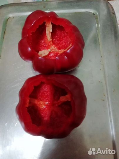 Семена болгарского перца