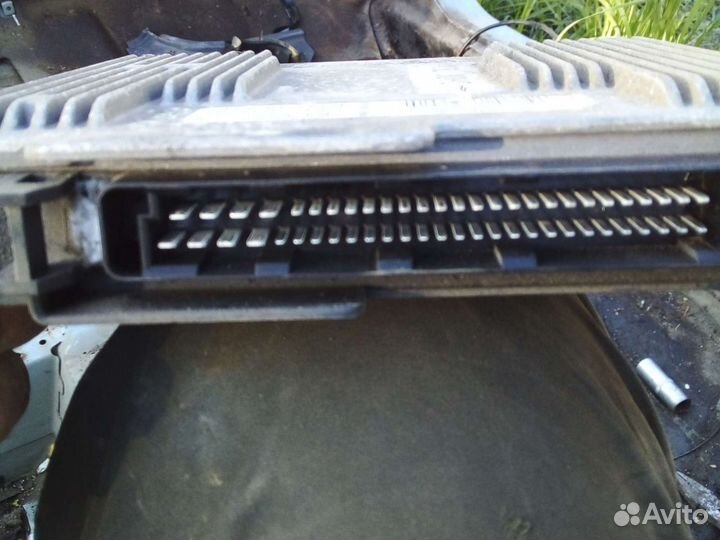 Эбу кия авелла