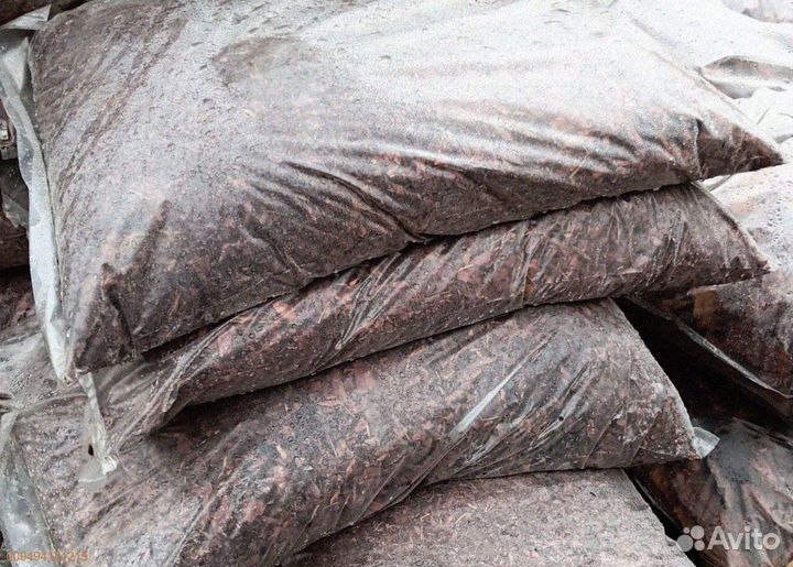 Лиственница: кора, полная жизни