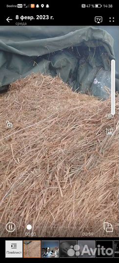 Сено в тюках по 300 килограмм, цена 3 500