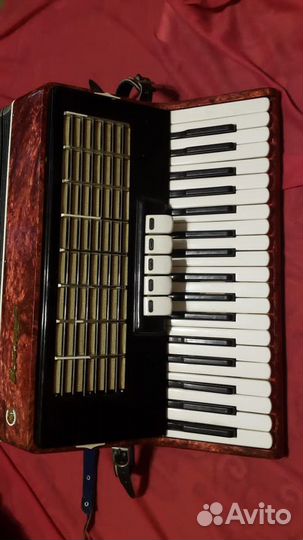 Аккордеон
