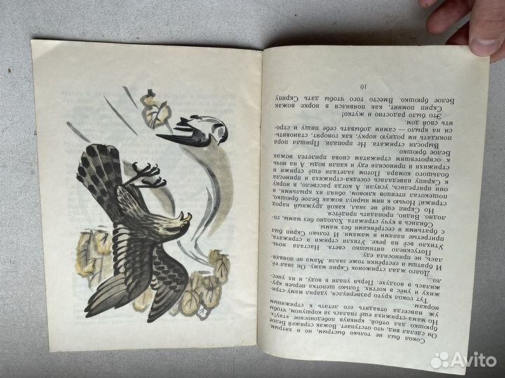 1982 год стрижонок скрип