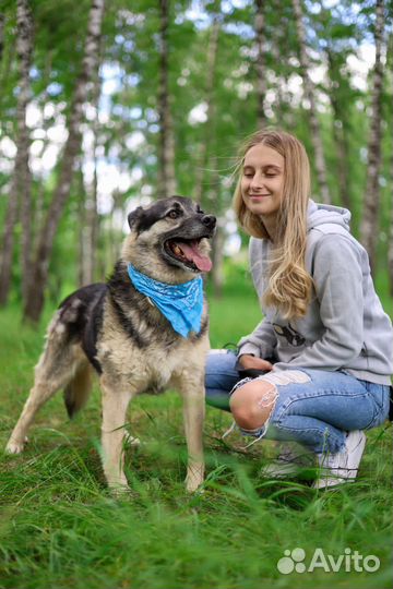 Марат энергия и преданность