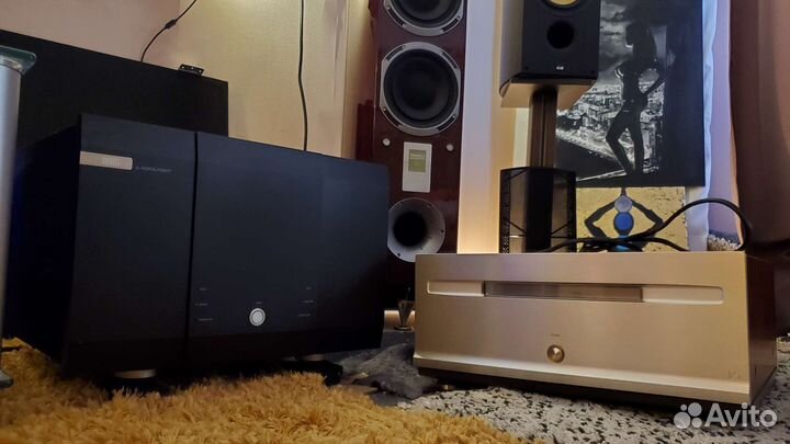 Musical Fidelity AMS50