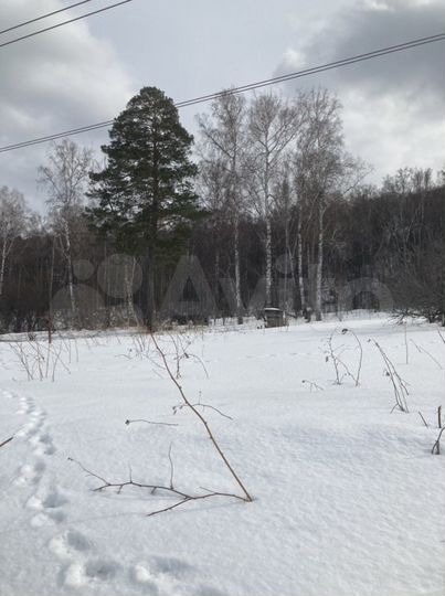 Участок 12,5 сот. (СНТ, ДНП)