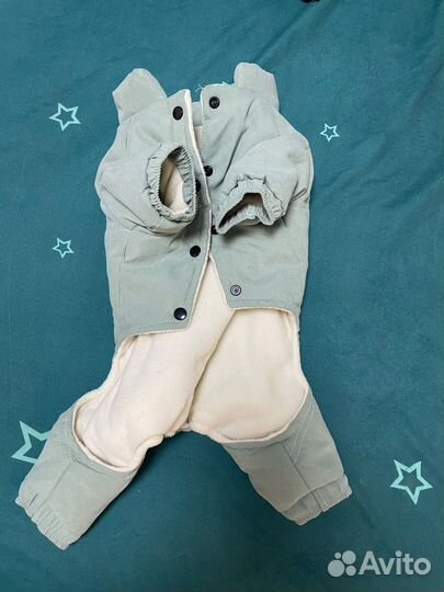 Комбинезон для маленьких и средних пород