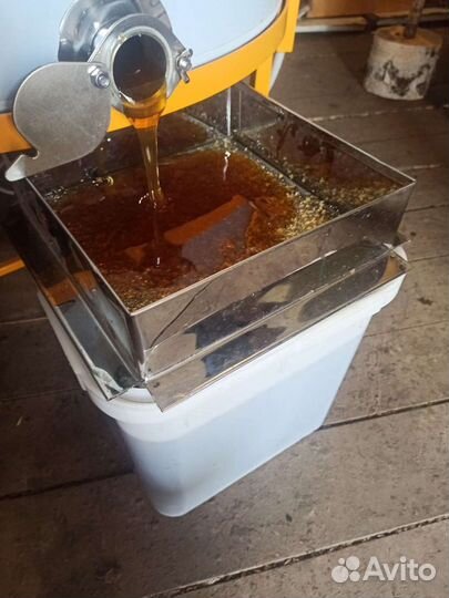 Мёд дягилевый