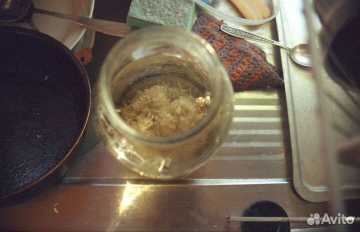 Свежая киноплёнка Kodak Vision 3 500t 36+ кадров