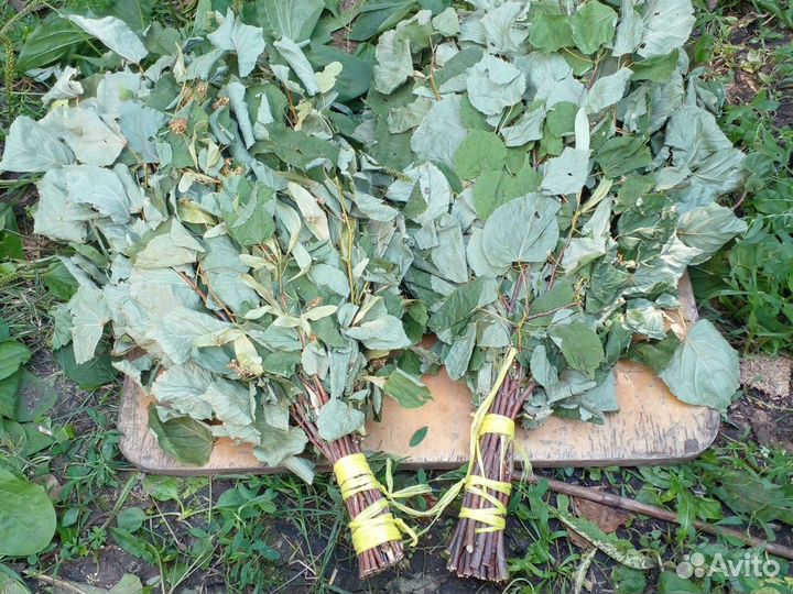 Веники для бани