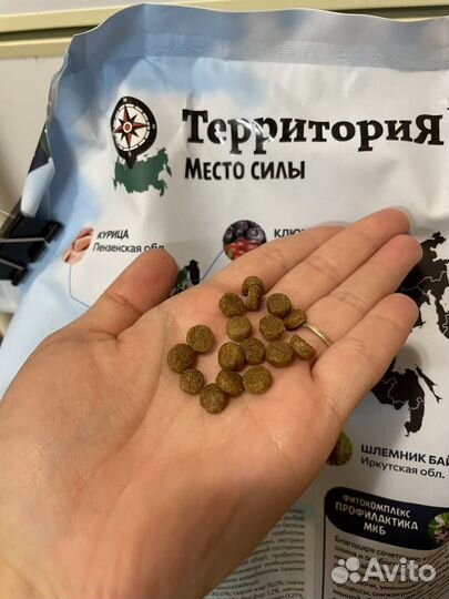 Корм для кошек