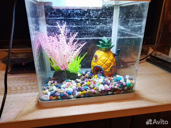 Аквариум для рыбок