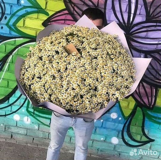 Доставка цветов. Ромашки