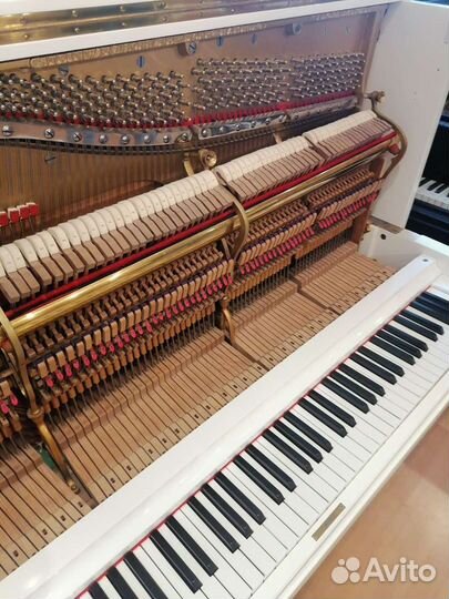 Настройка и реставрация фортепиано, пианино, рояля