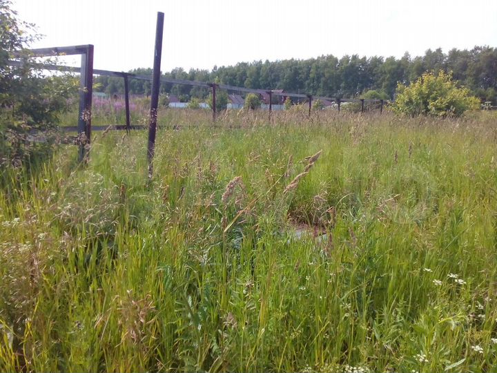 Участок 20 сот. (СНТ, ДНП)