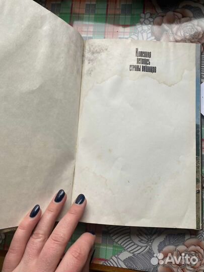 Книга Каменная летопись страны вайнахов