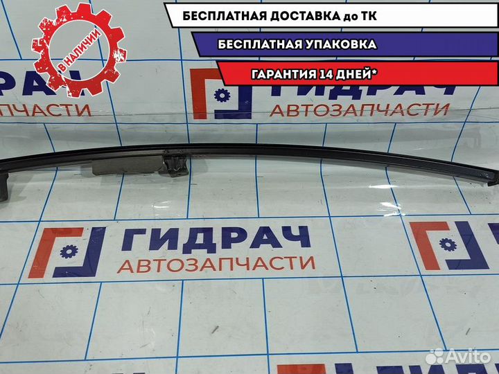 Направляющая стекла двери задней правой Nissan Tii