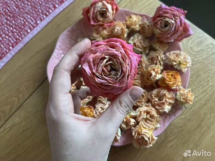 Сухие цветы розы сухоцветы для творчества