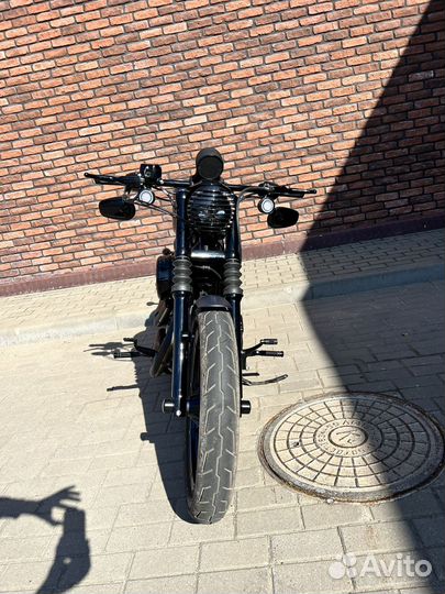 Harley Davidson Sportster 883 iron