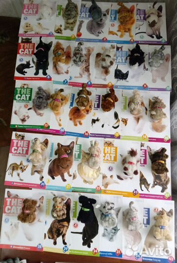 Котята the cat collection