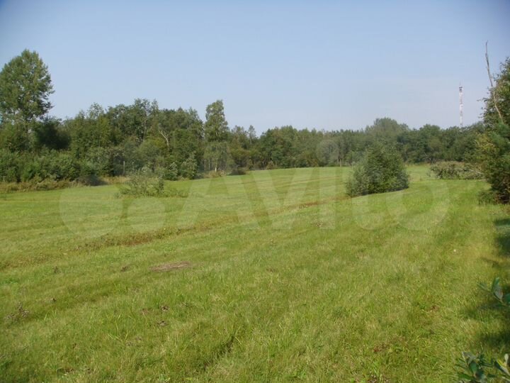 Участок 20 сот. (СНТ, ДНП)