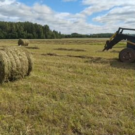 Сено в рулонах разнотравье