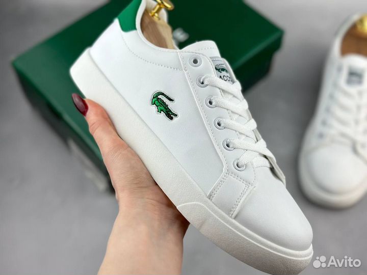 Кеды мужские Lacoste