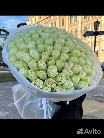 Белые розы гиганты