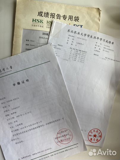 Репетитор по китайскому языку