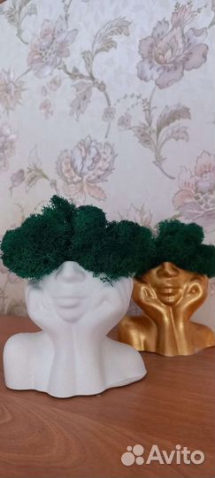 Кашпо со стабилизированным мхом