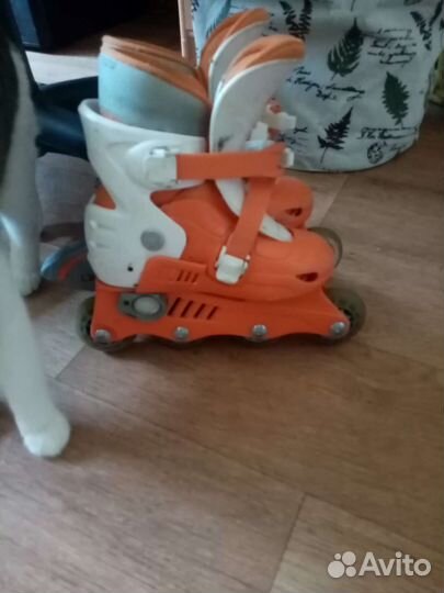 Роликовые коньки