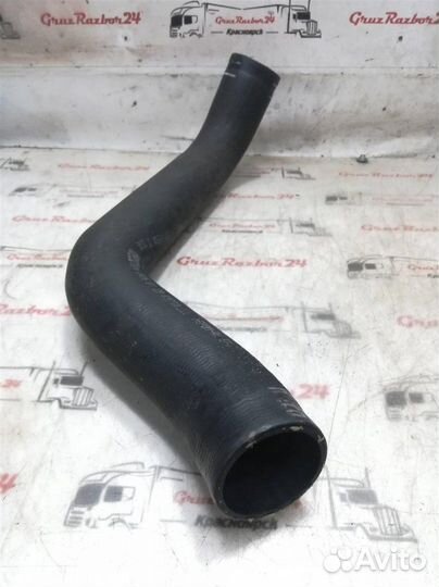 Патрубок радиатора Iveco