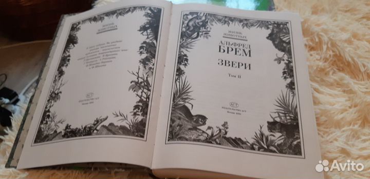 Энциклопедия Альфред Брем Звери два тома