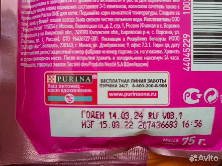 Влажный корм для котят