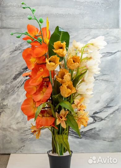 Многолетние цветы для интерьера