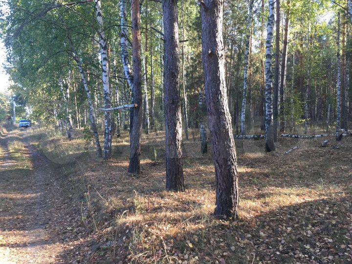 Участок 30 сот. (СНТ, ДНП)