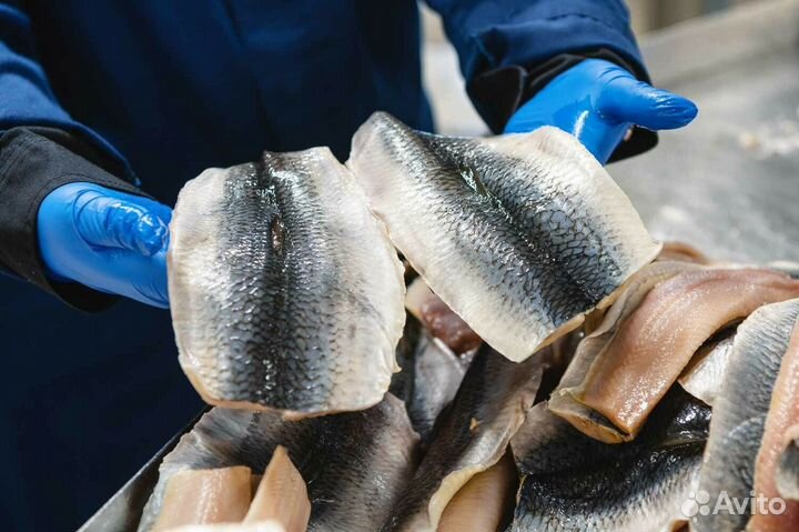 Упаковщик Рыбы/вахта